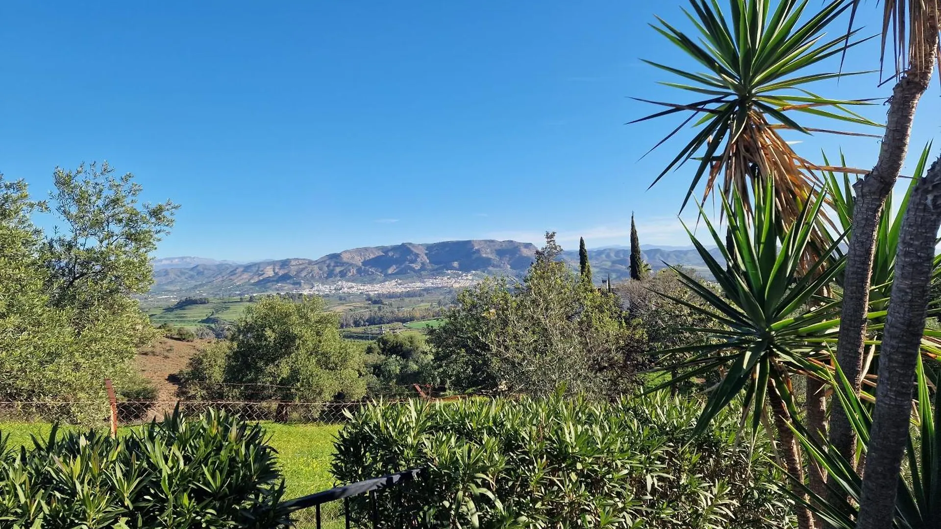 B&B Finca Flamenco Holiday Suites Adults Only 피자라 스페인